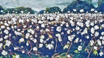 Cotton Field Painting at PaintingValley.com | Explore collection of ...