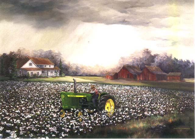 640x456 Prints Judy Richardson Art - Cotton Field Painting