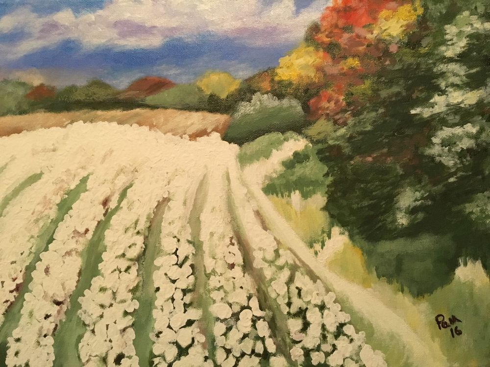 1000x749 Alabama Cotton Field Painting 12x16 Acrylic On Canvas Ebay Pam - Cotton Field Painting