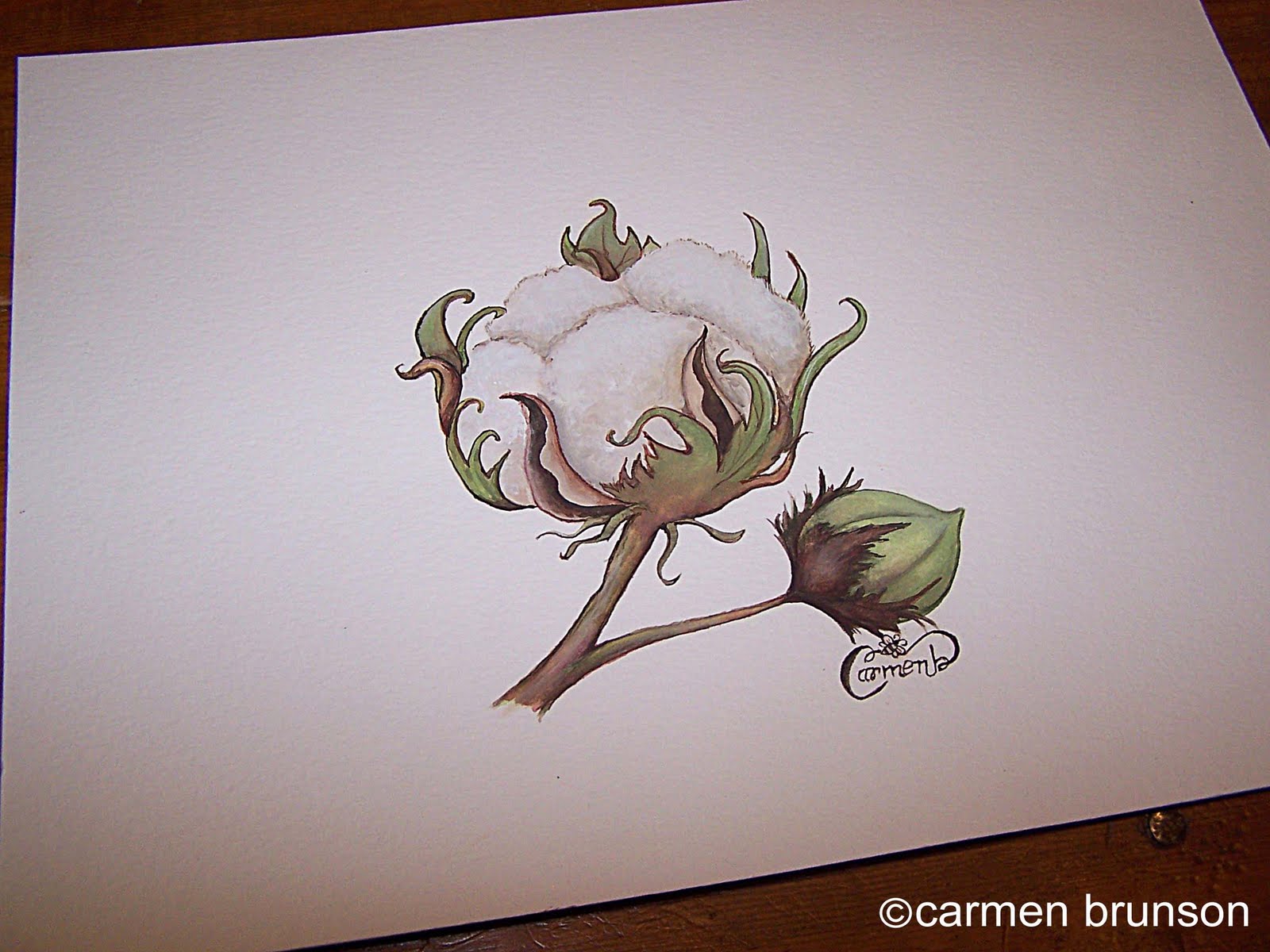 1600x1200 Lady Paintsalot Something Different - Cotton Painting