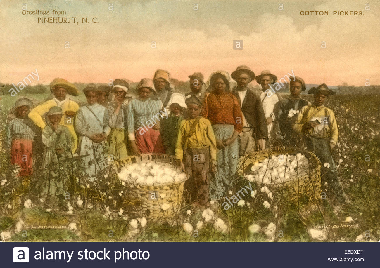 1300x918 Group Of African American Cotton Pickers In Field, Portrait Stock - Cotton Pickers Painting