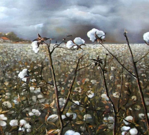 600x545 Cotton Field By Samson Gabriel, Original Painting - Cotton Plant Painting