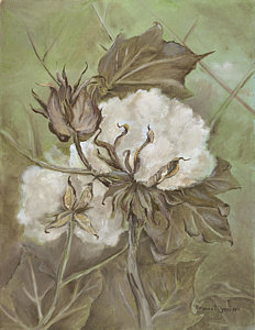 232x300 Cotton Plant Paintings Fine Art America - Cotton Plant Painting