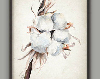 340x270 Cotton Painting Original Watercolor White Flower Floral - Cotton Plant Painting