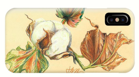 481x268 Jacki Kellum - Cotton Plant Painting