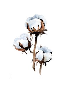 236x305 Southern Decor - Cotton Plant Painting