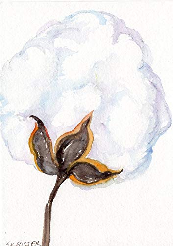 353x500 Cotton Watercolor Painting 5 X 7, Original Watercolor - Cotton Plant Painting