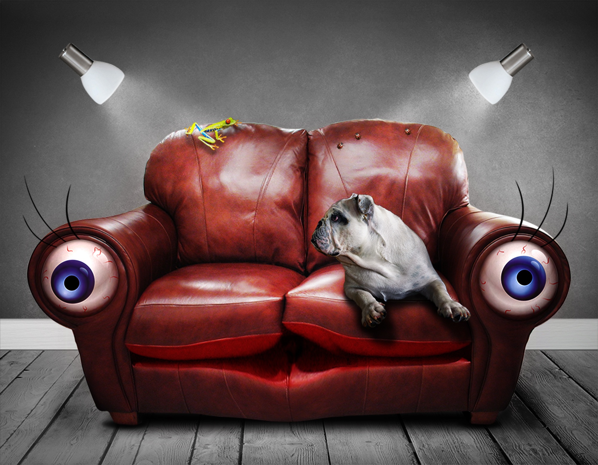 2000x1556 Free Images Dog, Red, Color, Furniture, Sofa, Couch, Painting - Couch Painting