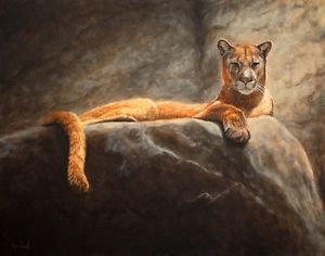 300x236 Print Of Laying Cougar Painting 11x14 L. Merchant Fine Art - Cougar Painting