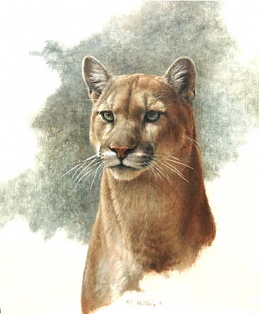 366x444 Cougar - Cougar Painting