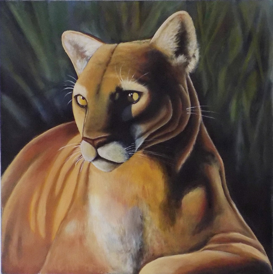 892x895 Cougar Painting Canvas By Usitatus - Cougar Painting