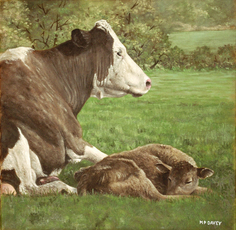 900x880 Cow And Calf In Field Painting By Martin Davey - Cow And Calf Painting