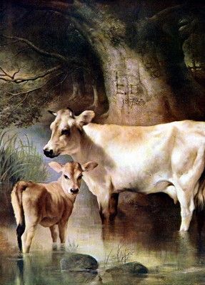 287x400 Edwin Douglas Art Print Dairy Farm Animals Livestock Jersey Cow - Cow And Calf Painting
