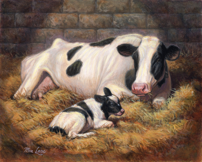 687x550 Holstein Cow With Calf Portrait Mia Lane Art - Cow And Calf Painting