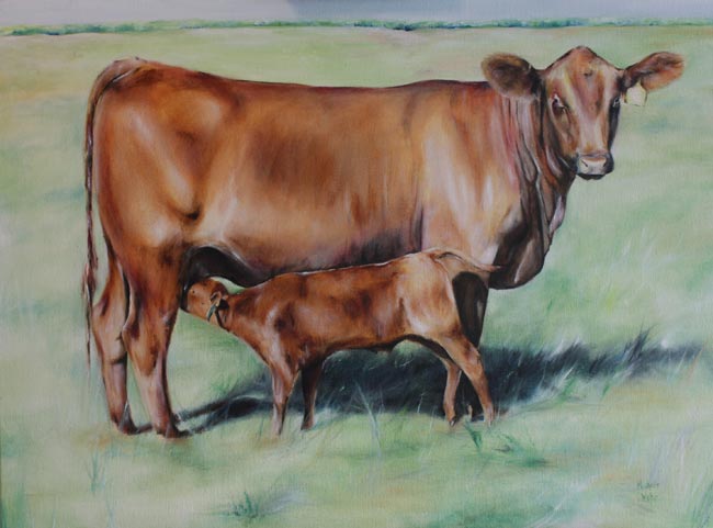 650x481 Weber Custom Painting By Michelle Weber Livestock Gallery - Cow And Calf Painting