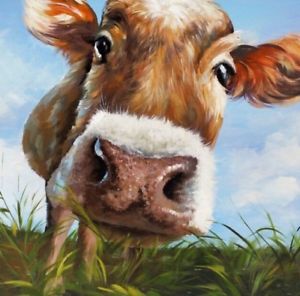 300x296 Cow Canvas Ebay - Cow Artwork Painting
