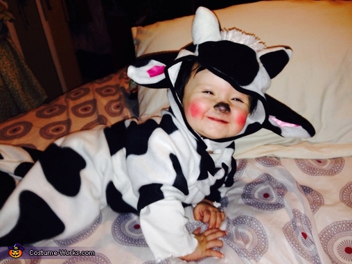508x381 Cute Baby Cow Costume - Cow Face Painting Ideas