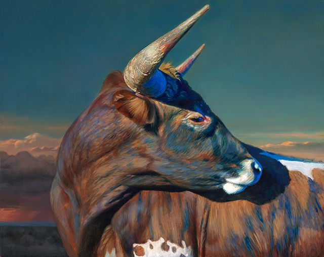 640x508 Dammit, Cows Look Beautiful In These Oil Paintings Cow, Oil - Cow Oil Painting