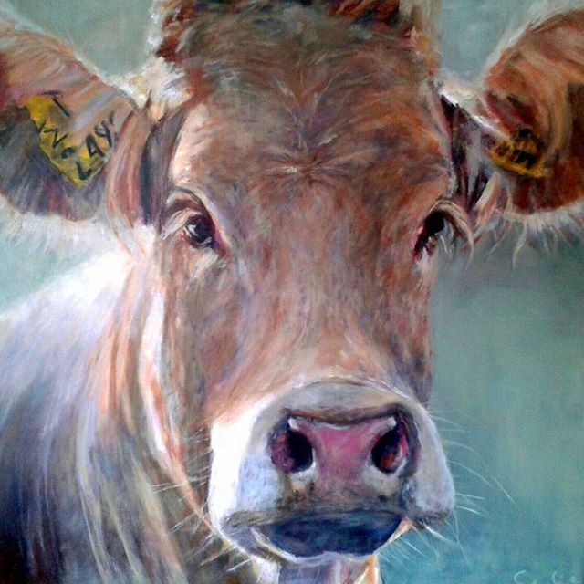 640x640 Cow, 1.00 X 1.00 M. - Cow Painting Artist