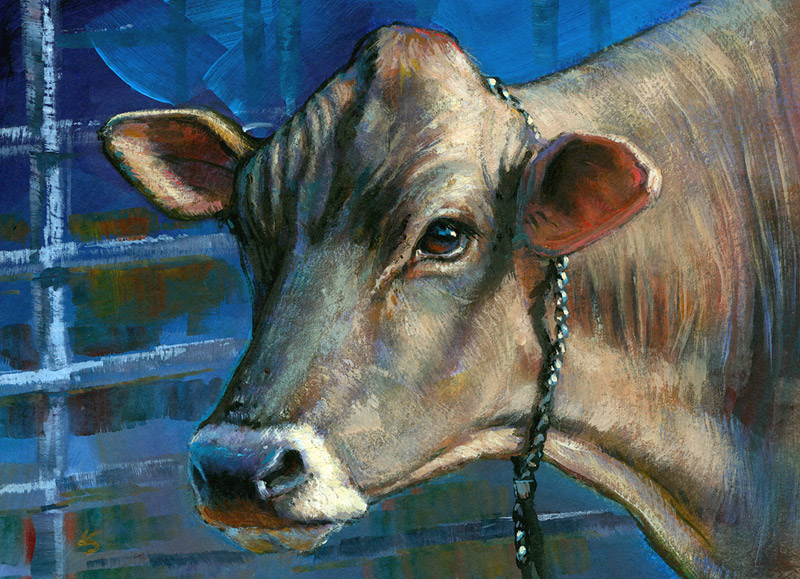 800x579 Jersey Cow Spanos 800 Lesley Spanos Art - Cow Painting Artist