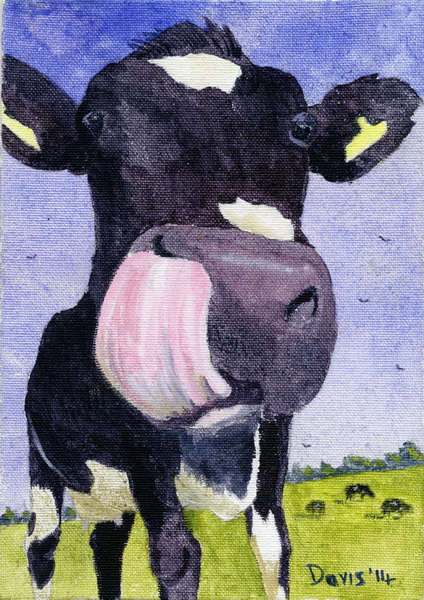 424x600 Bovine Art, Paintings Of Cows, Irish Art, Animal Portraits - Cow Painting Artist