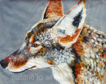 340x270 Coyote Painting Etsy - Coyote Painting