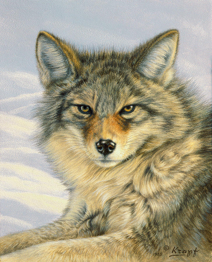 727x900 Little Coyote Painting By Paul Krapf - Coyote Painting