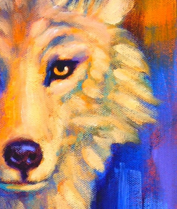 601x711 Paintings By Theresa Paden Vibrant Contemporary Coyote Painting - Coyote Painting