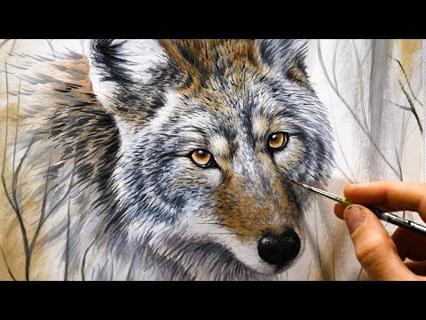 480x360 Realistic Speed Painting With Markers Amp Acrylics Coyote - Coyote Painting