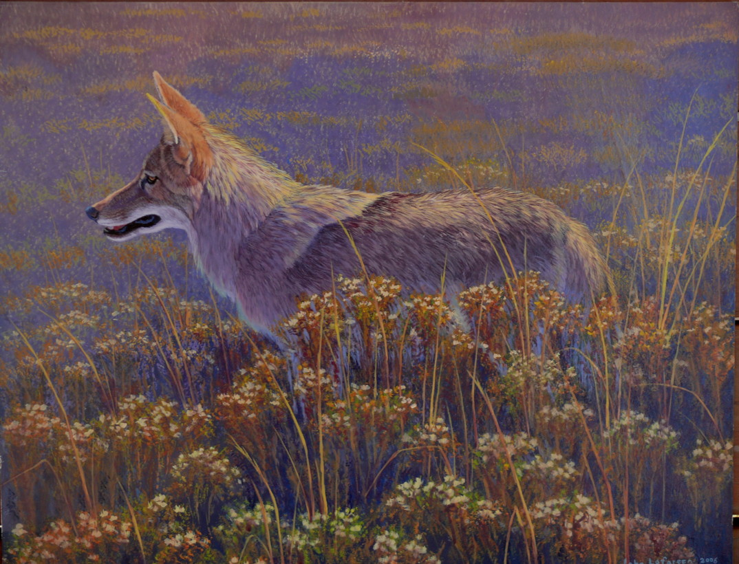 1074x820 The Show And Tell Nature Blog Coyote Reborn, And Some Bugs - Coyote Painting