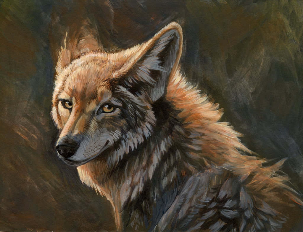 1024x782 Coyote By Hibbary - Coyote Painting