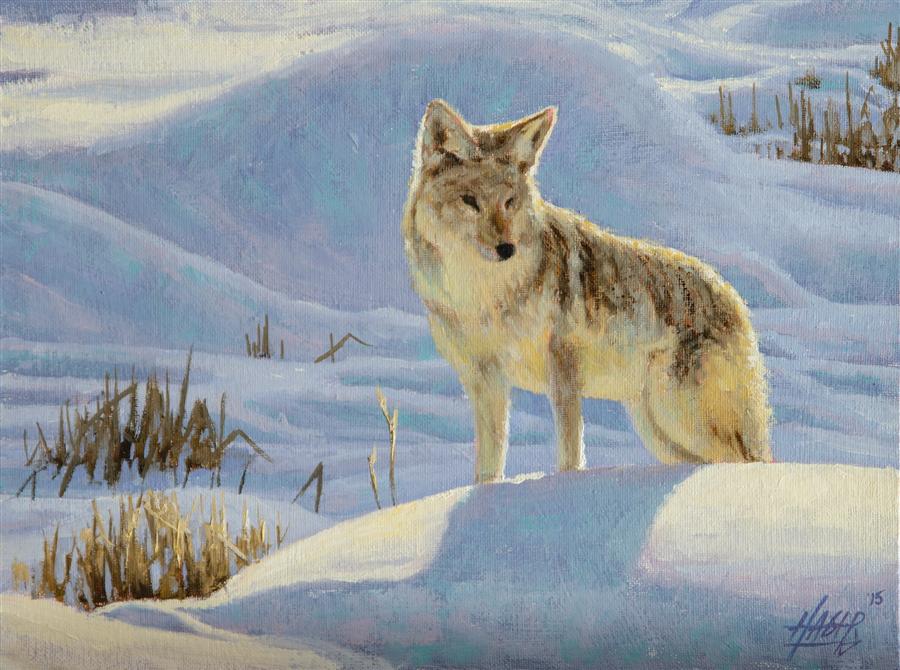 900x670 Coyote In Snow Nathan Hager - Coyote Painting