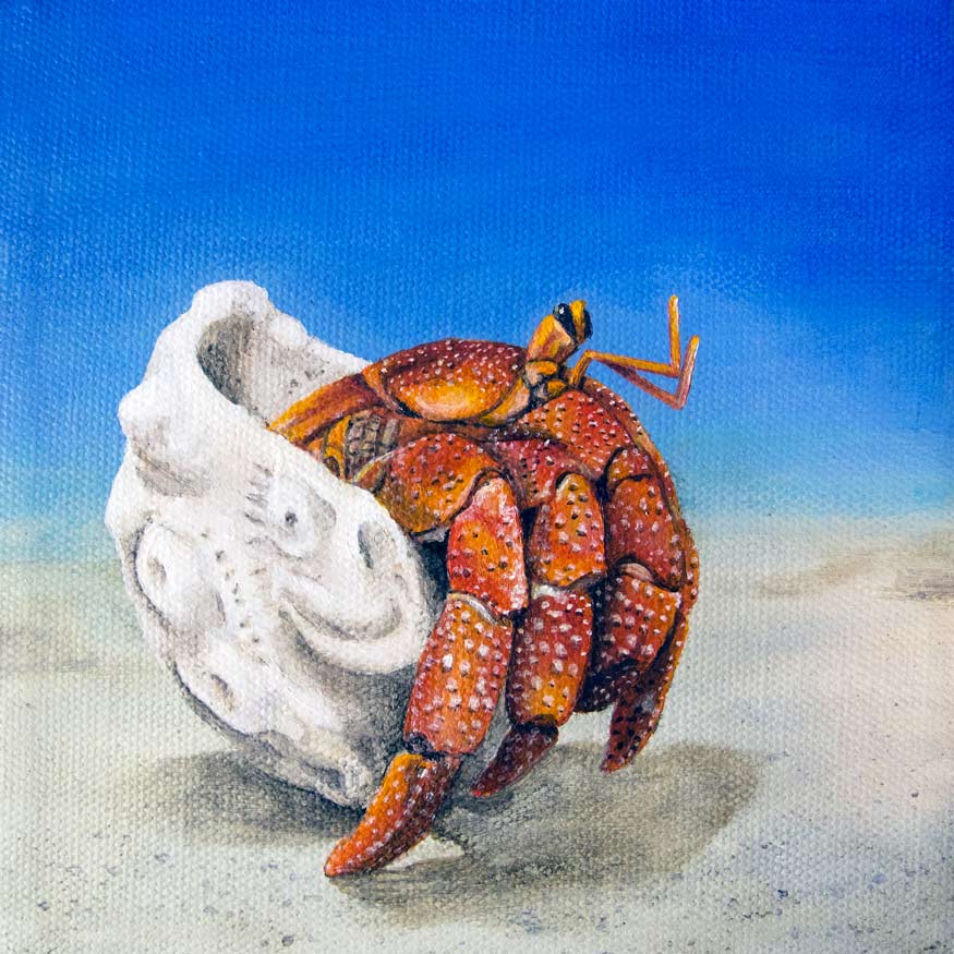 875x875 Hermit Crab - Crab Painting