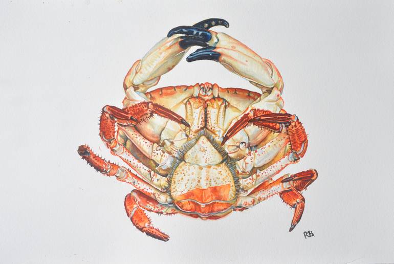 770x516 Saatchi Art Crab Painting By Rose Bonnefoy - Crab Painting