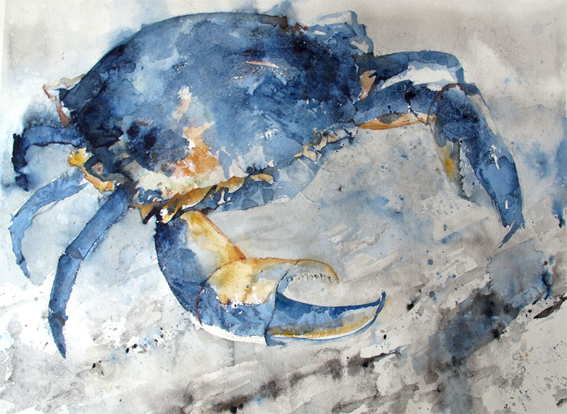 800x584 Crab Painting Sketches, Paintings And Studies Recent Art By Jun - Crab Painting