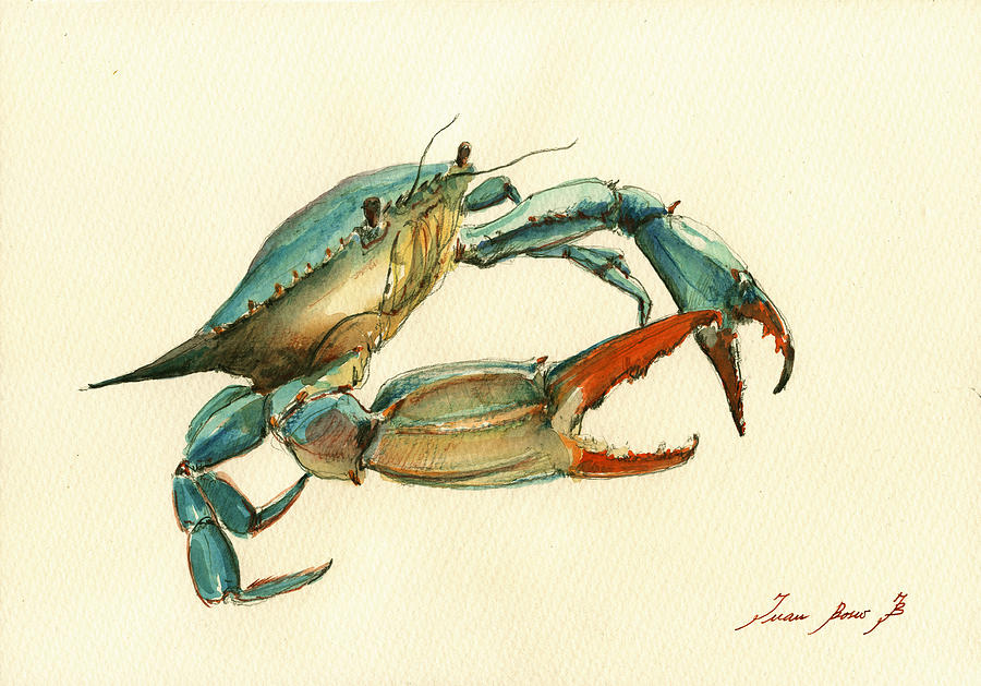 900x629 Blue Crab Painting Painting By Juan Bosco - Crab Painting