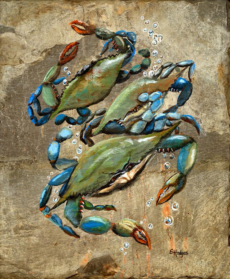 742x900 Blue Crabs Painting By Elaine Hodges - Crab Painting Canvas