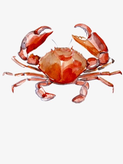 400x533 Gouache Crab, Crab, Painting, Ink Png Image And Clipart For Free - Crab Painting Images