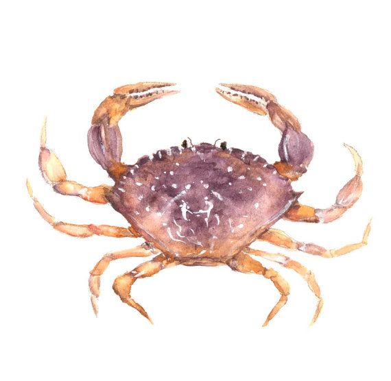 Crab Painting Images at PaintingValley.com | Explore collection of Crab ...