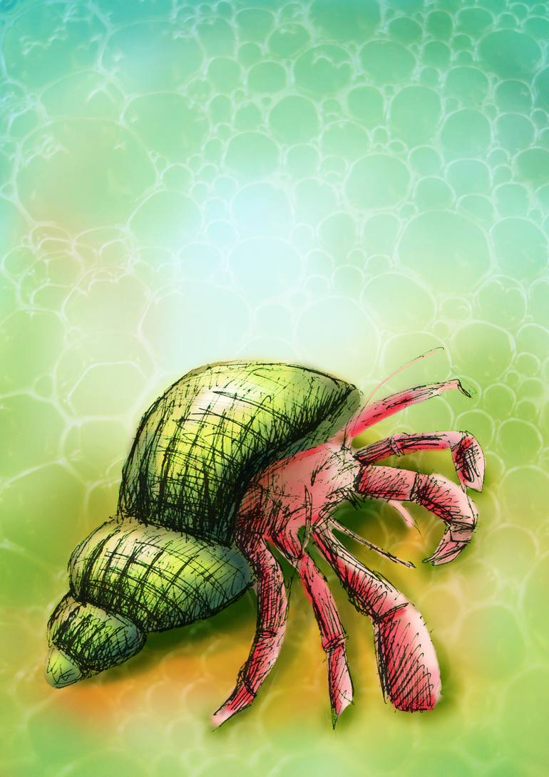 770x1091 Saatchi Art Hermit Crab Painting By Claudia Pflicke - Crab Painting Images