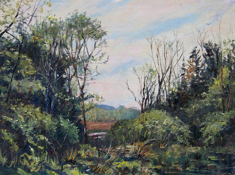 800x598 Paintings Jim Cramer Plein Air Painter - Cramer Painting