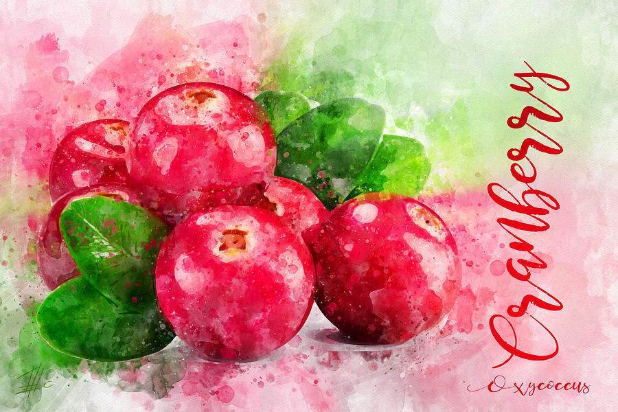 900x600 Cranberry Painting By Theodor Decker - Cranberry Painting