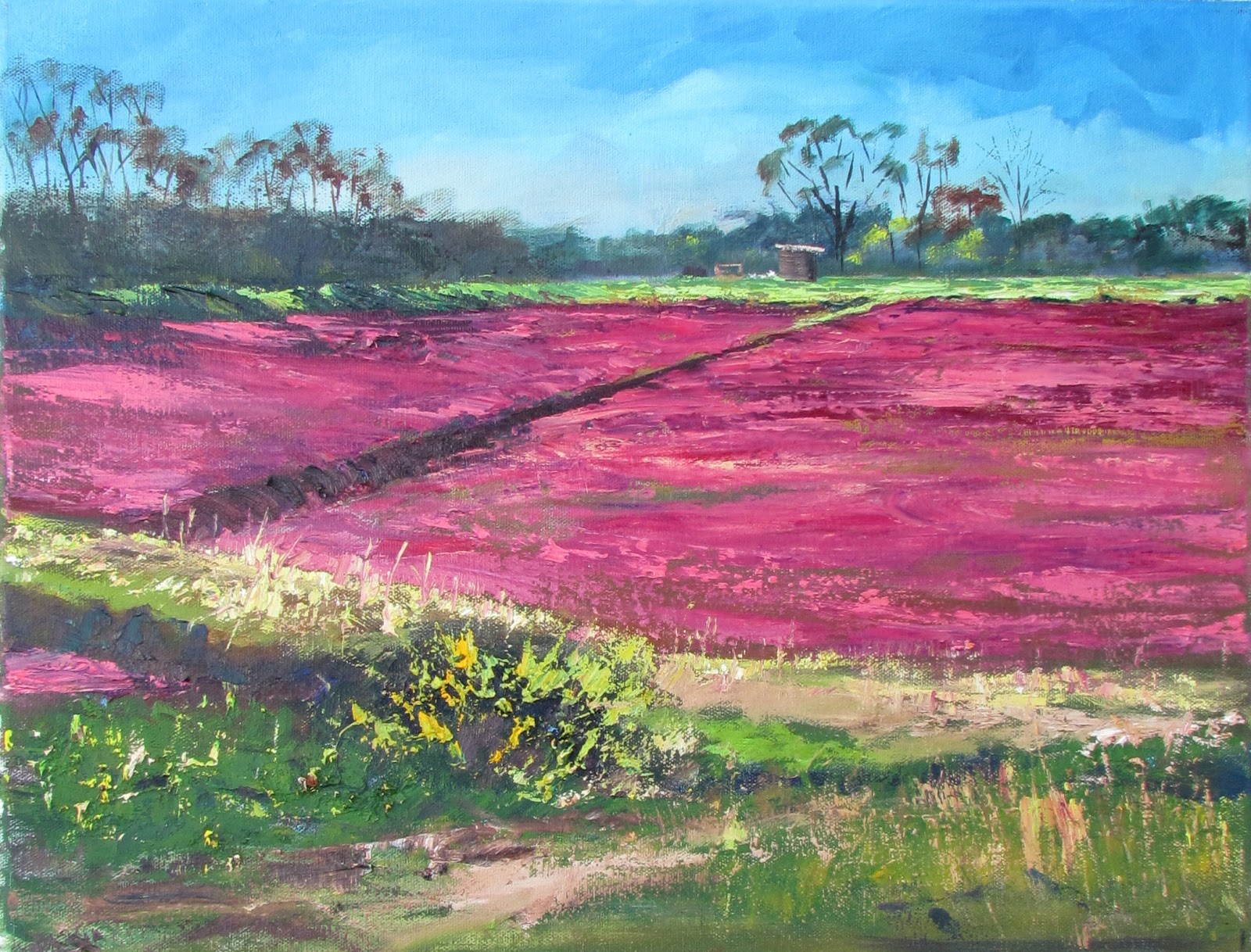 1600x1218 Maureen Vezina Oil Painter Plucky Cranberry Bog - Cranberry Painting