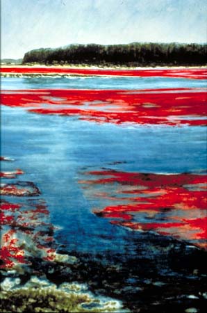 298x450 Painting ~ Fine Art - Cranberry Painting