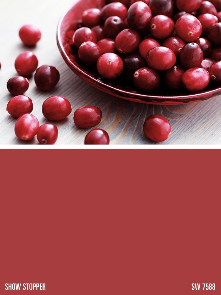 750x1000 Sherwin Williams Red Paint Color Show Stopper (Sw 7588) Autumn - Cranberry Painting