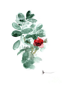 230x300 Cranberry Art Print Watercolor Painting Painting By Joanna Szmerdt - Cranberry Painting