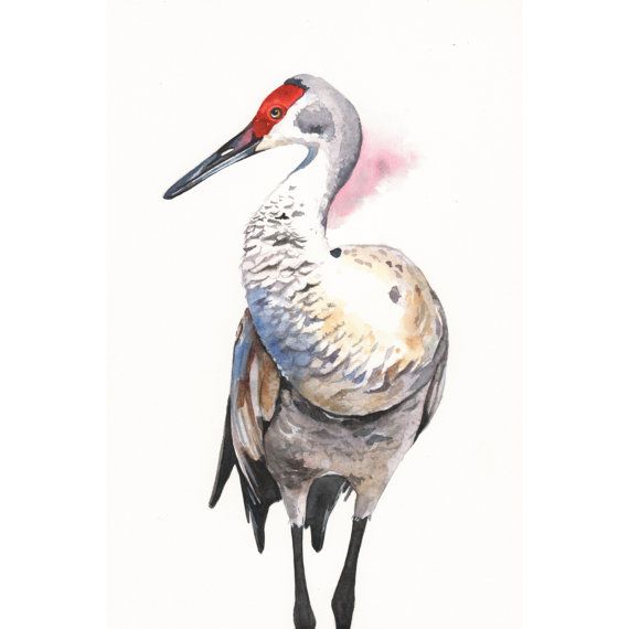 Crane Bird Painting