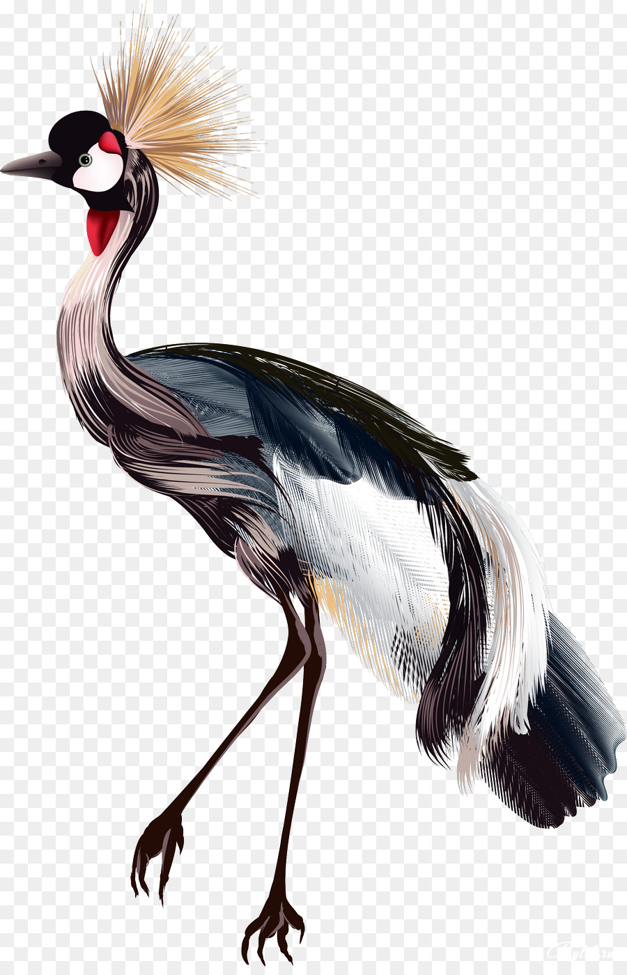 900x1400 Crane Bird Drawing Watercolor Painting - Crane Bird Painting