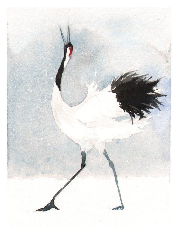 600x770 Watercolor Crane Beautiful Crane Bird Painting (13) Crane - Crane Bird Painting