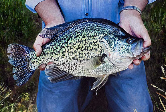 580x393 Hunt Fish Paint Missouri World Record Black Crappie Cabelas Pat - Crappie Painting